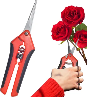 מזמרת גינה מקצועית מנירוסטה – לגיזום מדויק, קל ונוח של צמחים ופרחים