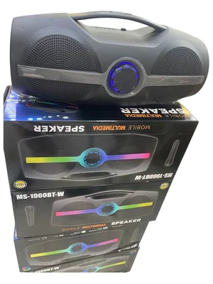 רמקול בלוטוס קריוקי נייד + רדיו 1960BT – עוצמתי חזק ואיכותי מיקרופון אלחוטי