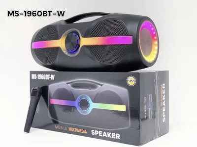 רמקול בלוטוס קריוקי נייד + רדיו 1960BT – עוצמתי חזק ואיכותי מיקרופון אלחוטי